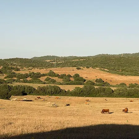 Cortijo La Mina By Lajuderia De Vejer - Luxury * Conil De La Frontera