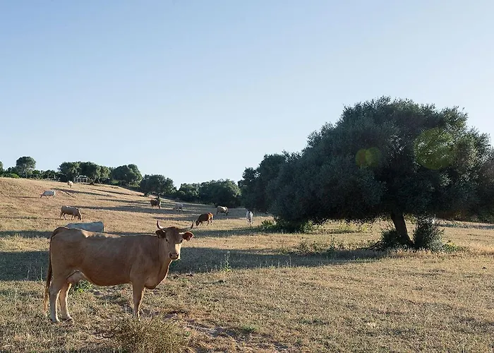 De Lujo Cortijo Mina Casa rural Conil De La Frontera