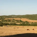 Cortijo La Mina By Lajuderia De Vejer - Luxury * 콘일데라프론테라