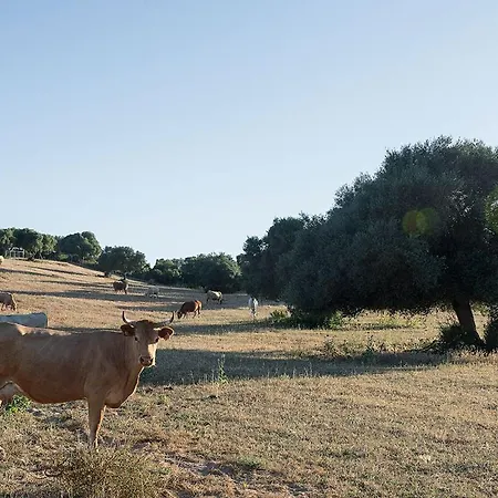 Cortijo La Mina By Lajudería De Vejer - Luxury Casa de Campo Conil De La Frontera