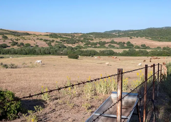 Gospodarstwo wiejskie Cortijo La Mina By Lajuderia De Vejer - Luxury *