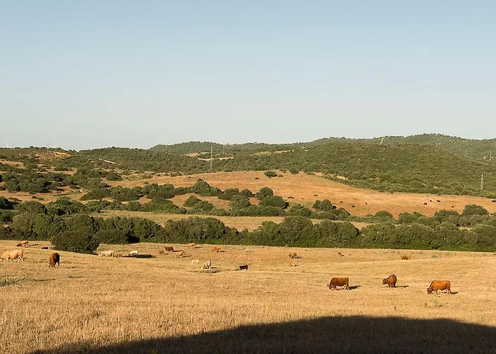 Cortijo La Mina By Lajuderia De Vejer - Luxury * Conil De La Frontera